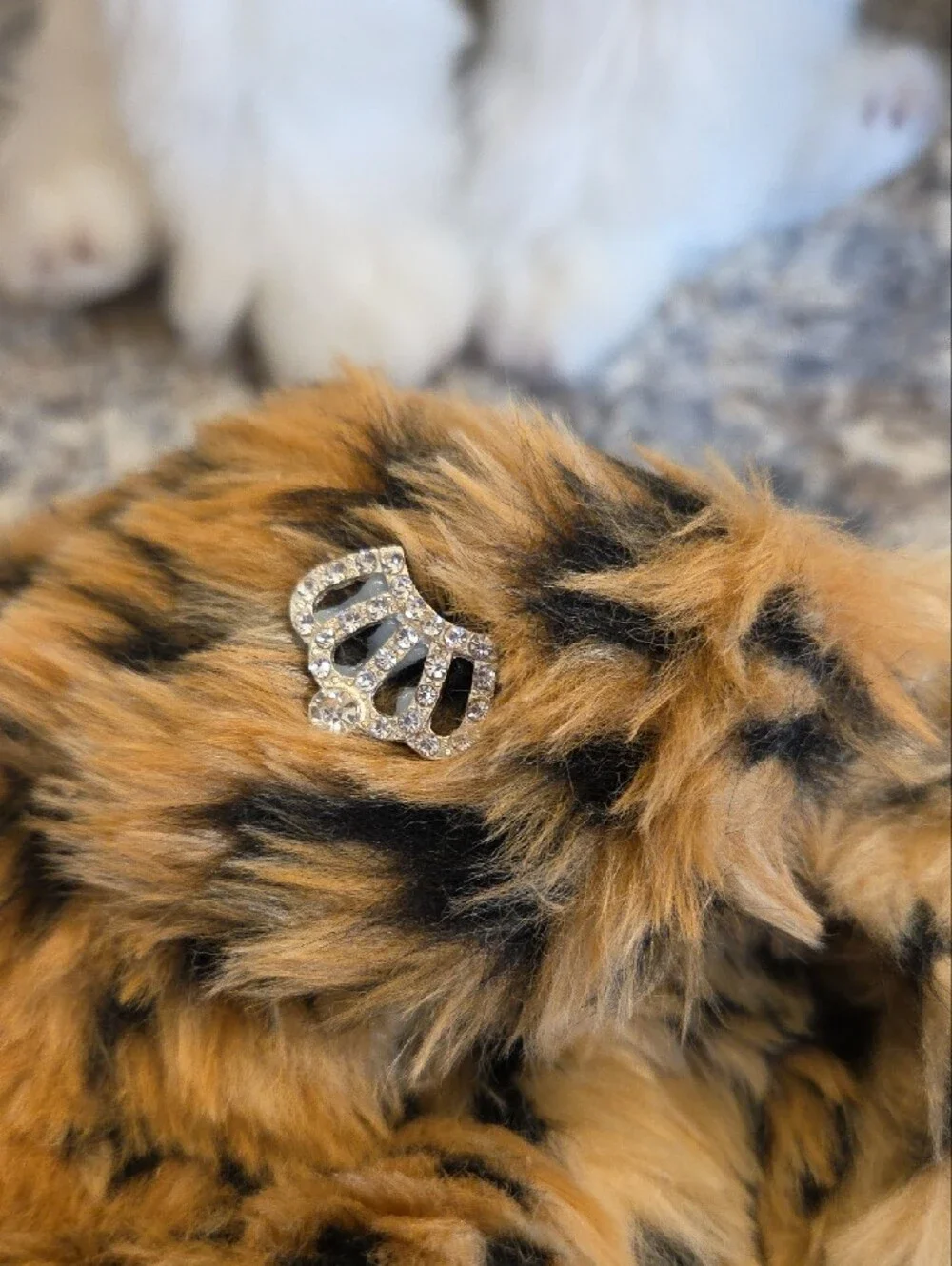 Faux Fur Leopard-Print Dogs Coat - Brown/Black